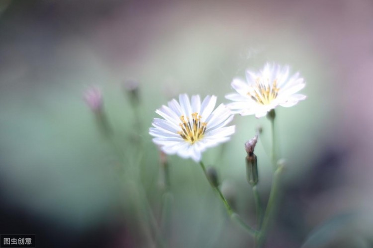 20个伤感爱情句子:一删微信便是永别愿你天黑有灯下雨有伞
