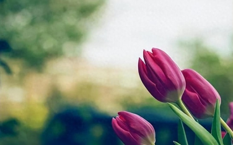 微信爱情大揭秘：谁最关心你的一举一动？