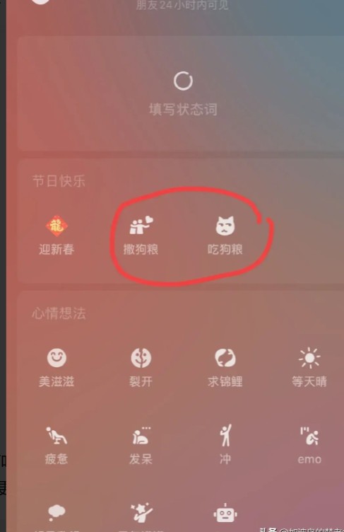 微信升级：520元上限与撒狗粮吃狗粮新状态传递爱意